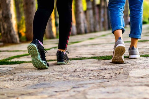 Afbeelding bij Wandelen in Dordrecht